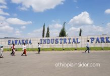 የልዩ ኢኮኖሚ ዞን የተኪ ምርቶች የስራ አፈጻጸም በእቅድ ከተያዘው አንጻር ዝቅተኛ መሆኑ በፓርላማ ጥያቄ አስነሳ