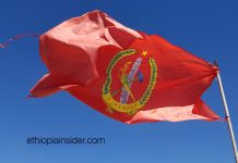 አሜሪካ በህወሓት አመራሮች ላይ ለሁለተኛ ጊዜ የጣለችው የቪዛ እገዳ፤ የትኛውን የሀገሪቱን ህግ የተመረኮዘ ነው?