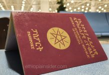 “በቀን በአማካይ 5 ኢትዮጵያዊ ያልሆኑ፤ የኢትዮጵያን ፓስፖርት የወሰዱ የውጭ ዜጎች እናገኛለን” – የኢሚግሬሽን እና ዜግነት አገልግሎት