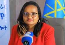 የኢትዮጵያ መገናኛ ብዙሃን ባለስልጣን በአምስት ዓመት ውስጥ ለሶስተኛ ጊዜ አዲስ ዋና ዳይሬክተር ሊሾምለት ነው