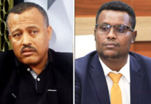 አቶ ክርስቲያን ታደለ እና አቶ ዮሃንስ ቧያለው፤ ያለ መከሰስ መብታቸው የተነሳው “ህግን ተከትሎ አለመሆኑን” ለፍርድ ቤት ተናገሩ