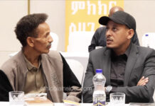“የታሰሩ ፋኖዎች ከእስር እንዲለቀቁ እየጠበቅን ነው”- መቶ አለቃ ማስረሻ ሰጤ