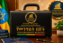 በ2019 በጀት ለዕዳ ክፍያ የተመደበው ገንዘብ ከግማሽ ትሪሊዮን ብር በላይ ሆነ