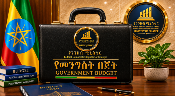 Ethiopian Ministry of Finance briefcase that holds the country's budget for 2026:2027 fiscal year (Ethiopia Insider)