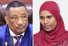 ከሚኒስትርነታቸው የተነሱት ጫልቱ ሳኒ፤ የፌዴራል ቤቶች ኮርፖሬሽን ዋና ስራ አስፈጻሚ ሆነው ተሾሙ