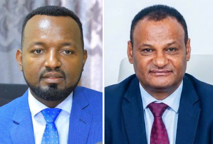 Berhanu Zewede & Tola Bariso appointed as state minister weeks after their regional appointments (Ethiopia Insider)