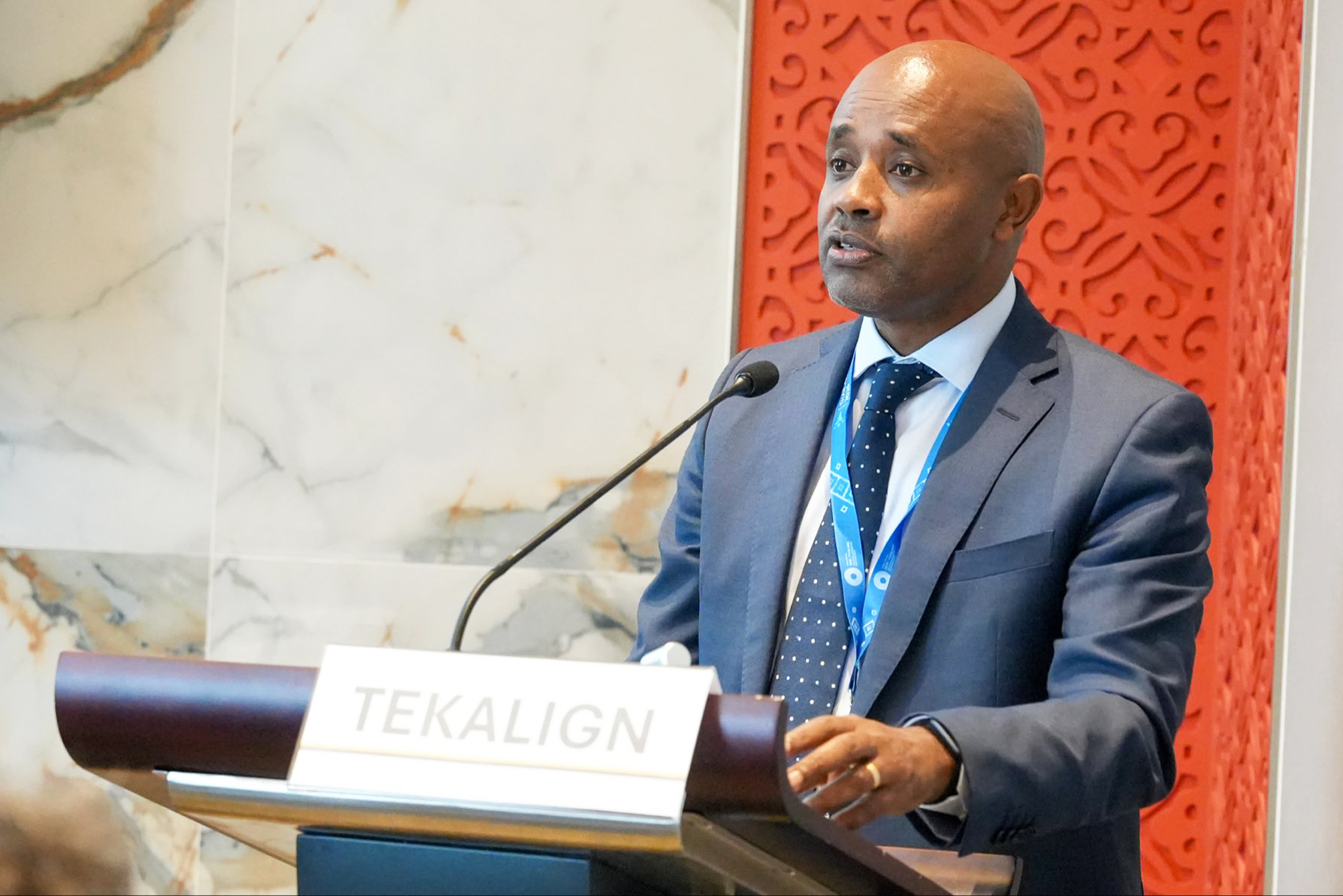 በሀገራት ዕዳ አከፋፈል ሽግሽግ ድርድር ለሚሳተፉ አማካሪዎች የሚከፈለው የገንዘብ መጠን ጣሪያ እንዲበጅለት የብሔራዊ ባንክ ገዢ ጠየቁ
