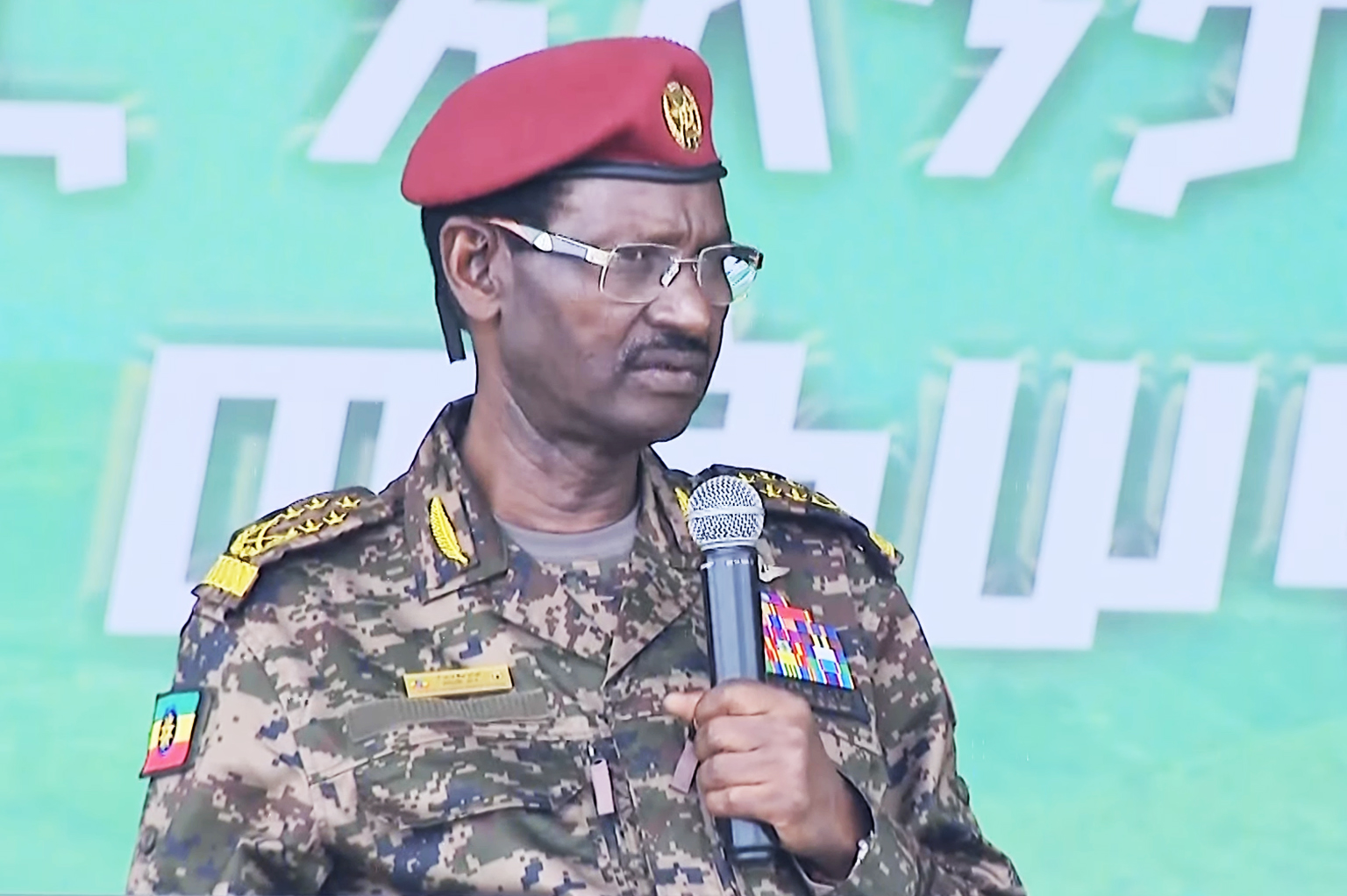 “የአንድ መጠነኛ ሀገር የመከላከያ ትጥቅ ሊሆን የሚችል የጦር መሳሪያ ሰራዊታችን ተቆጣጥሯል” – ፊልድ ማርሻል ብርሃኑ ጁላ