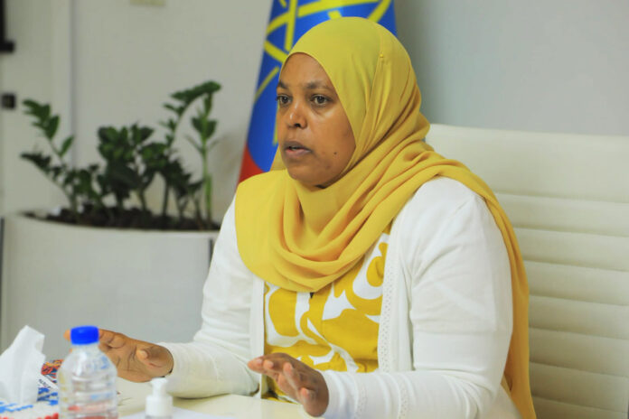 Muferiat Kemil elected as Speaker of House of Federation